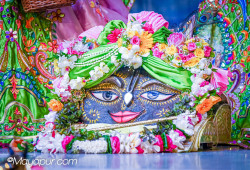 Daily Darshan