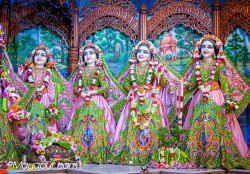Daily Darshan