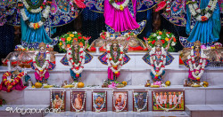 Daily Darshan