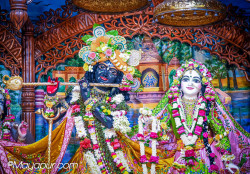 Daily Darshan