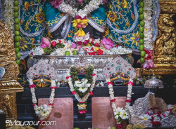Daily Darshan