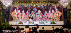 Daily Darshan