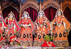 Daily Darshan