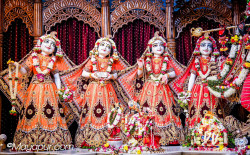 Daily Darshan