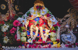 Daily Darshan