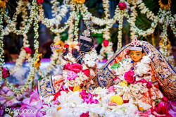 Daily Darshan