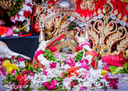 Daily Darshan