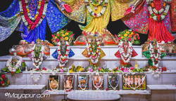 Daily Darshan