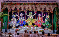 Daily Darshan