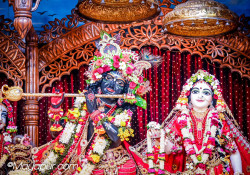 Daily Darshan