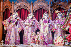 Daily Darshan