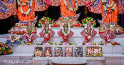 Daily Darshan