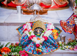 Daily Darshan