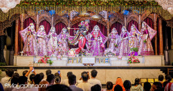 Daily Darshan