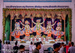 Daily Darshan