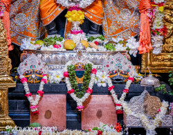 Daily Darshan