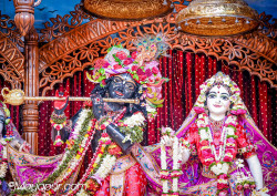 Daily Darshan