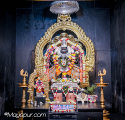 Daily Darshan