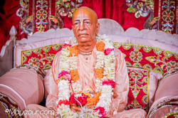 Daily Darshan