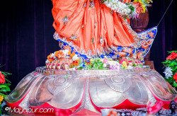 Daily Darshan