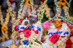 Daily Darshan