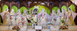 Daily Darshan