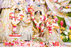 Daily Darshan