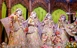 Daily Darshan