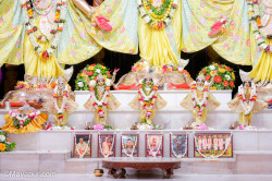 Daily Darshan