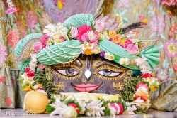 Daily Darshan