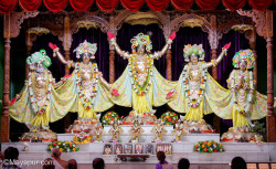 Daily Darshan