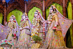 Daily Darshan