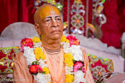 Daily Darshan