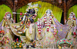 Daily Darshan