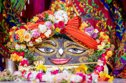 Daily Darshan
