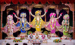 Daily Darshan