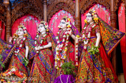 Daily Darshan