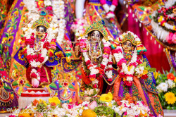 Daily Darshan