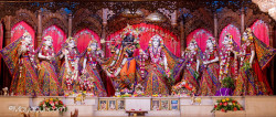 Daily Darshan