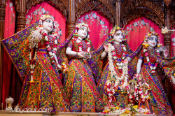 Daily Darshan