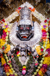 Daily Darshan