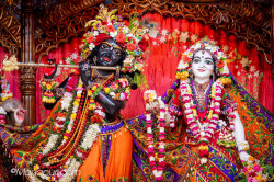 Daily Darshan