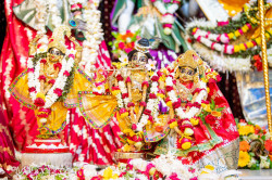 Daily Darshan