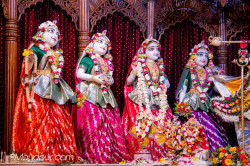Daily Darshan