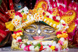 Daily Darshan