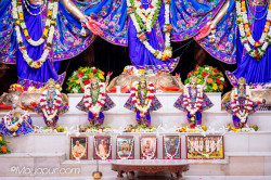 Daily Darshan