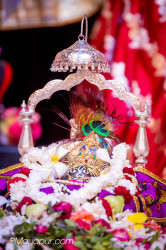 Daily Darshan