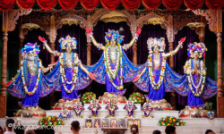 Daily Darshan