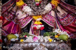 Daily Darshan