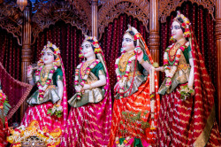 Daily Darshan